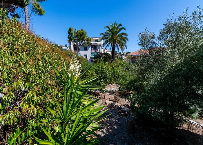 Center * سانريمو